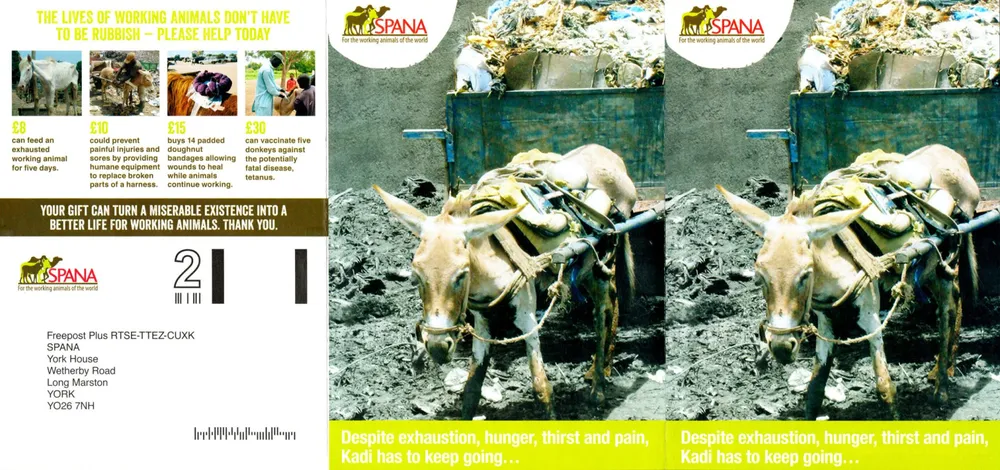 SPANA advert, The Guardian, 12 June 2021, page 1 of 4