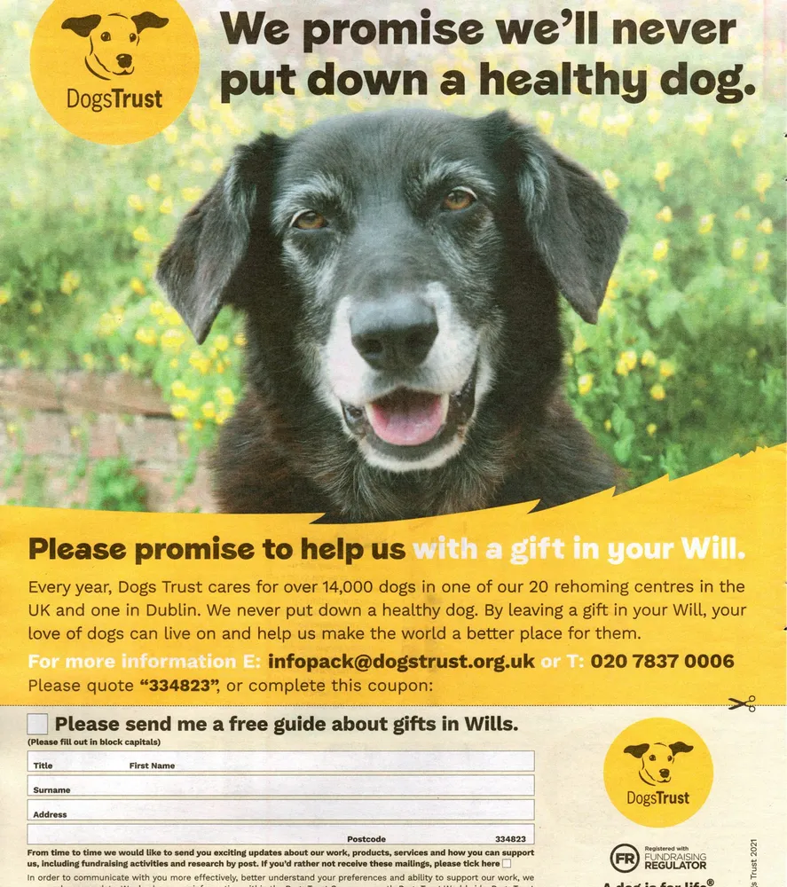 Dogs Trust advert, The Sun, 27 March 2021