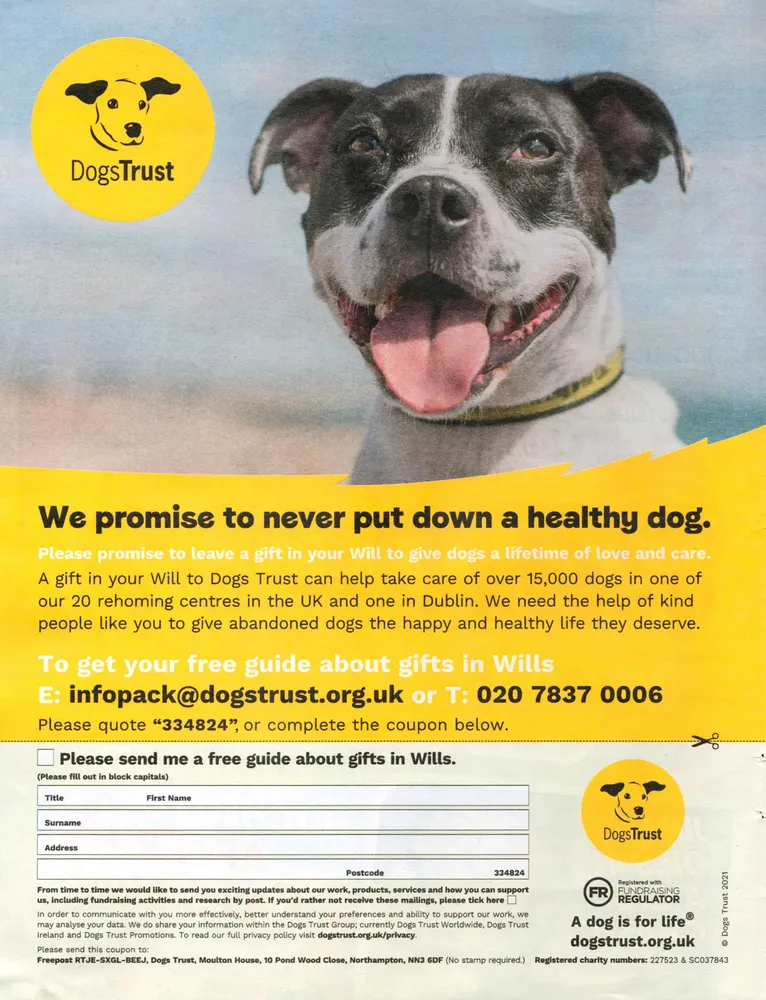 Dogs Trust advert, The Sun, 28 March 2021