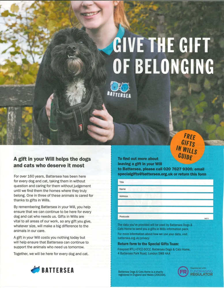 Battersea advert, The Observer, 18 July 2021