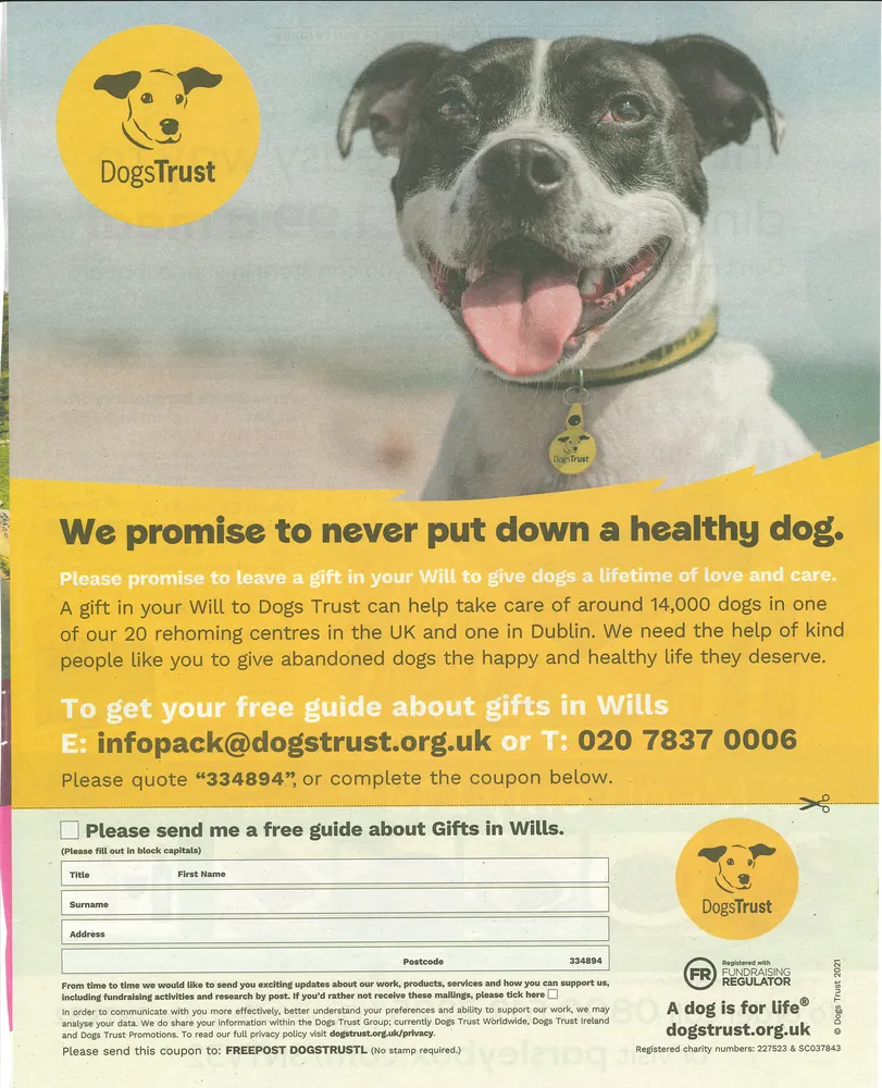 Dogs Trust advert, The Sun, 31 July 2021