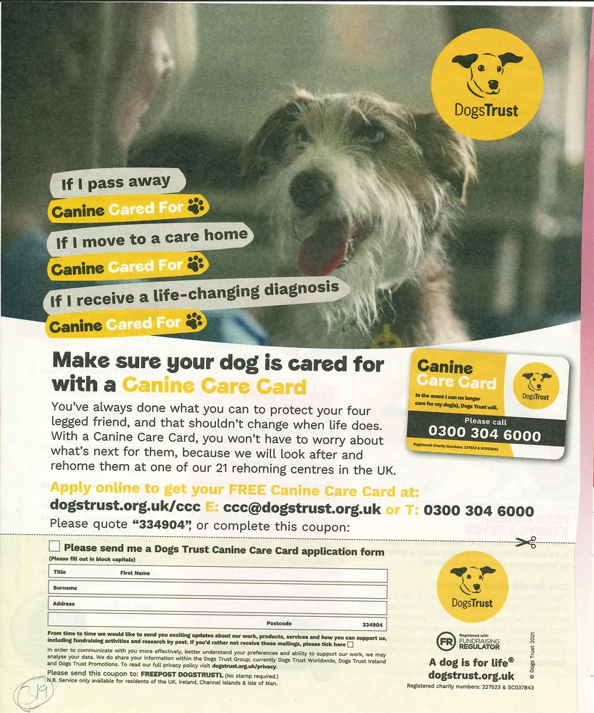 Dogs Trust advert, Daily Star Sunday, 8 August 2021